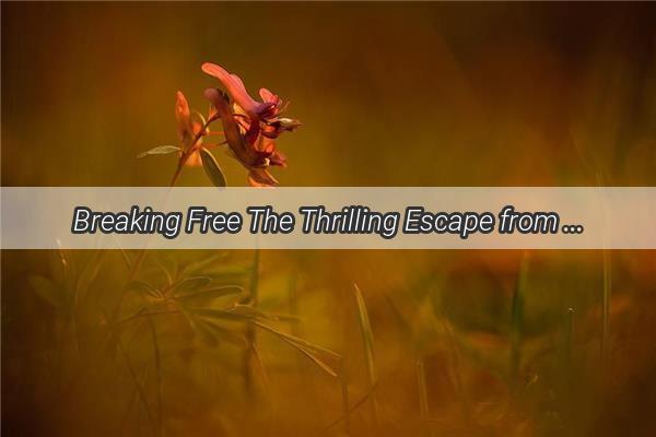 Breaking Free The Thrilling Escape from the Mountains Embrace